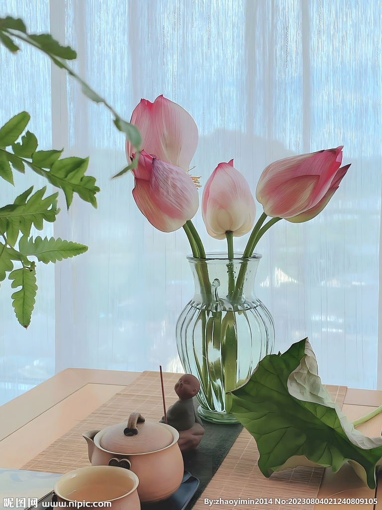 荷花