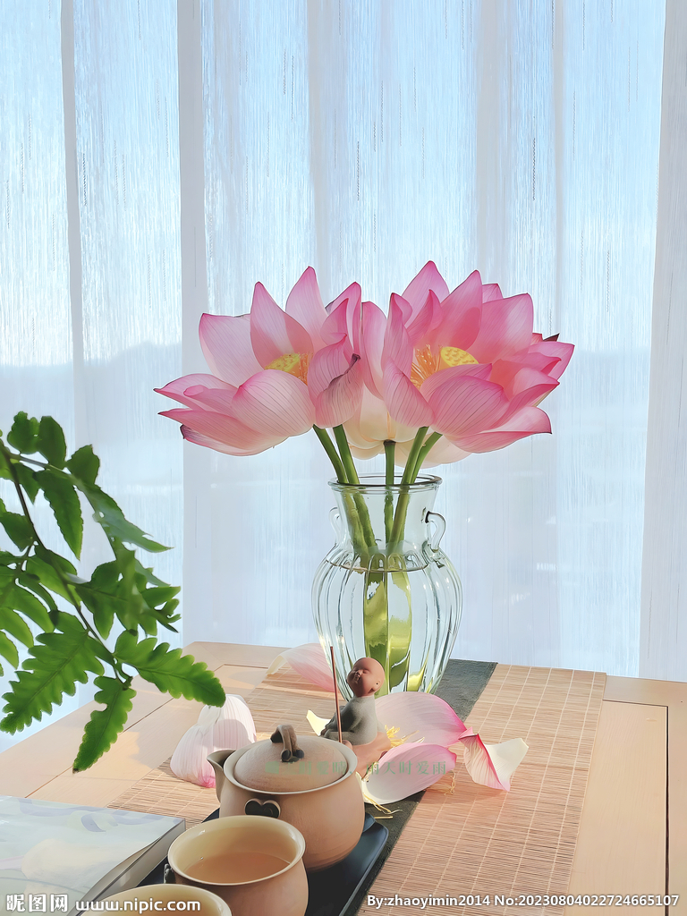 荷花
