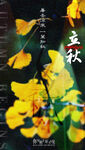 24节气立秋海报