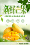 新鲜芒果