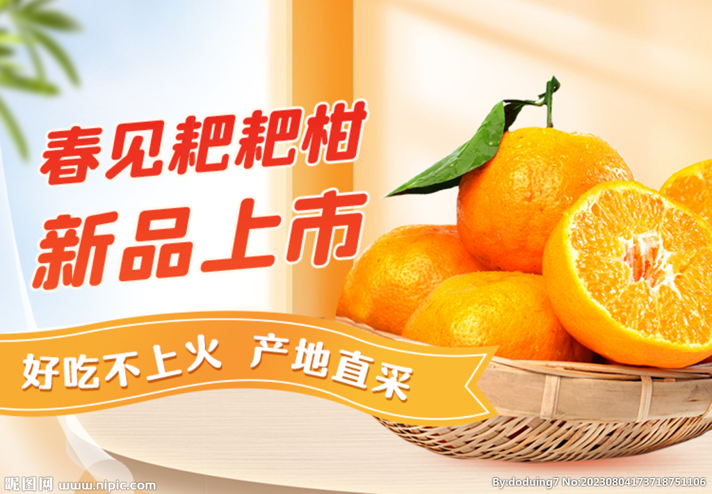 柑橘生鲜水果banner