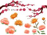 传统花卉