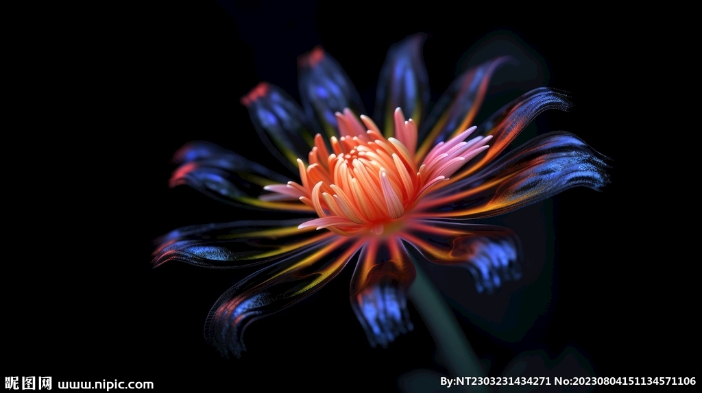 花朵框画 