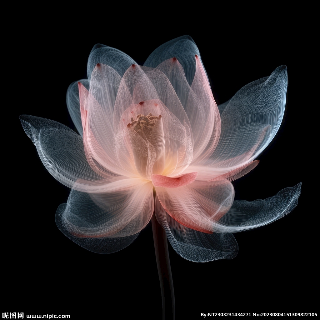 花朵框画 