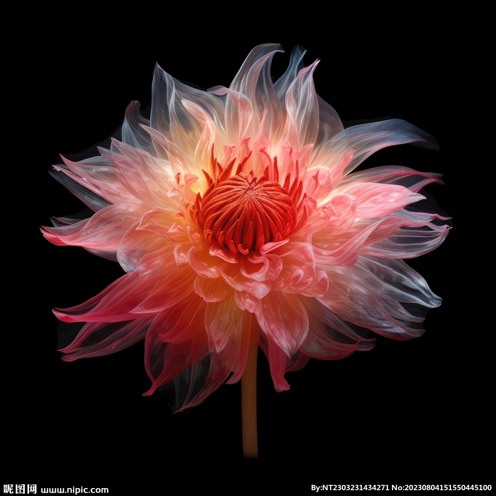花朵框画 