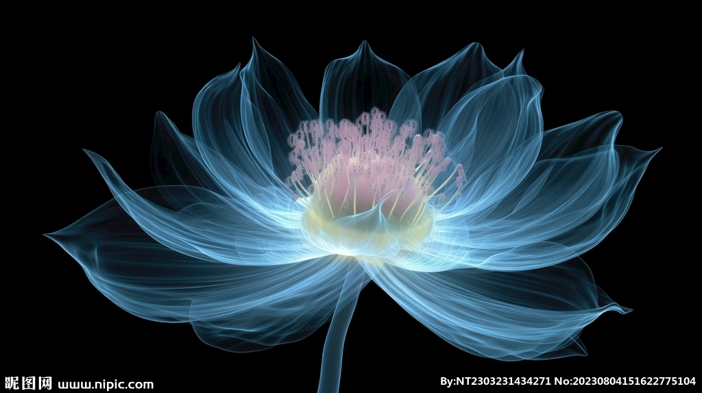 花朵框画 