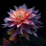 花朵框画 
