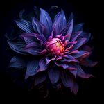 花朵框画 