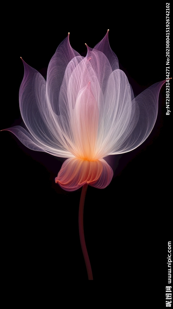 花朵框画 