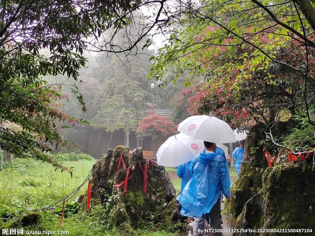 雨天华蓥山