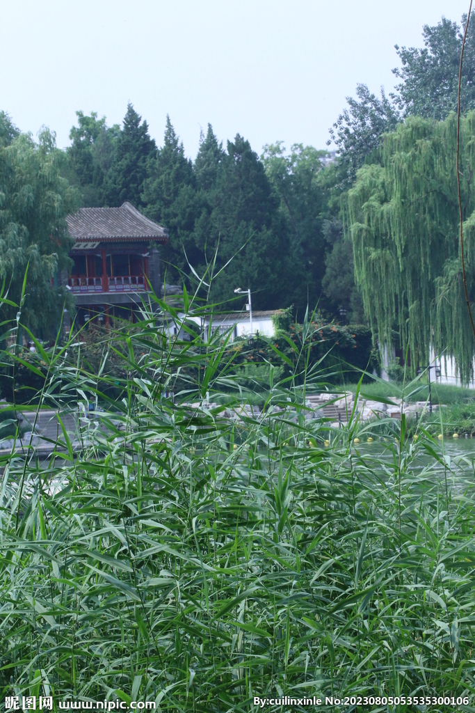 公园风景