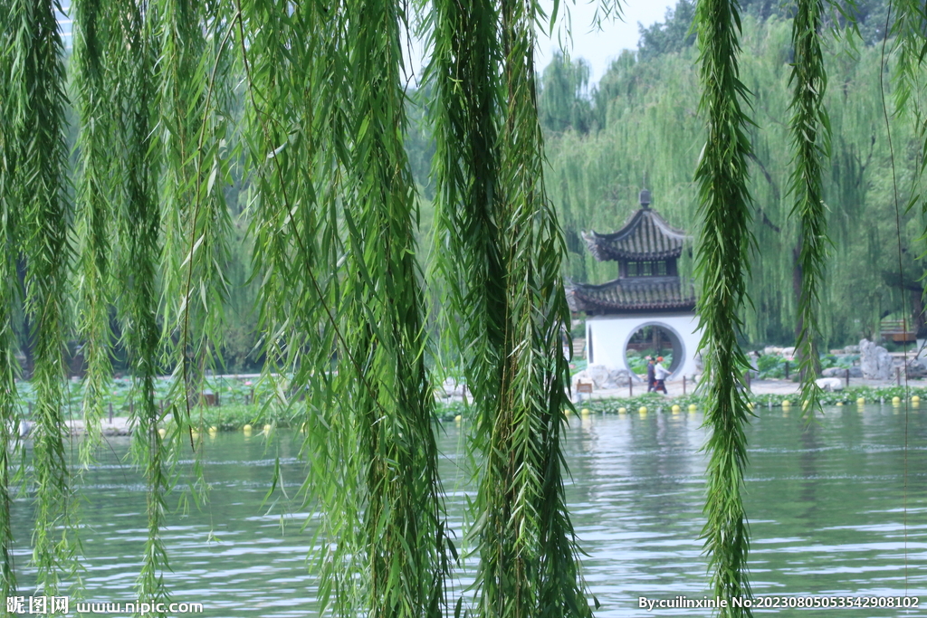 公园风景 