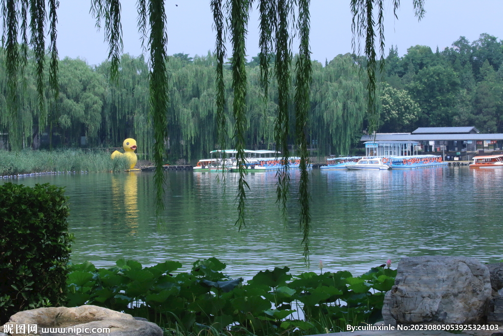 公园风景