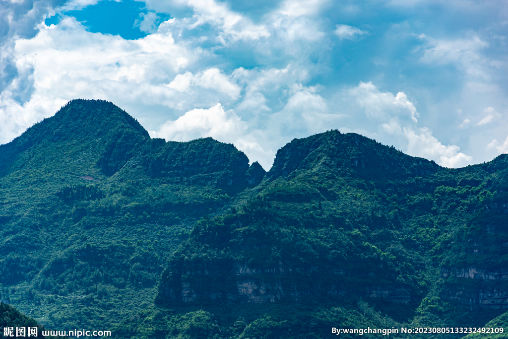 青山