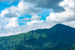 青山