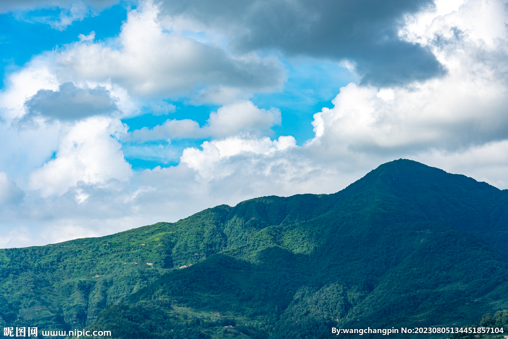 青山