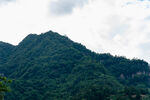 青山