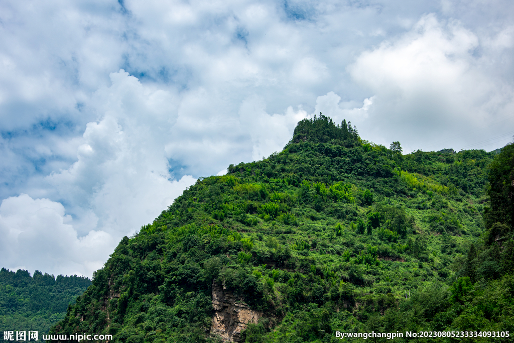 青山