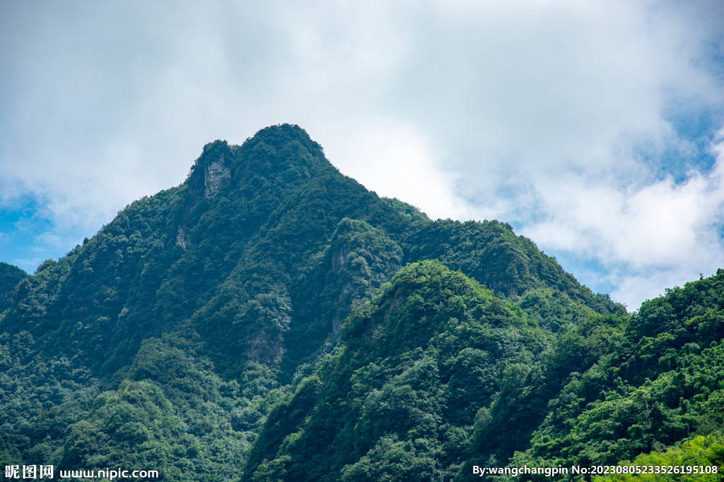 青山