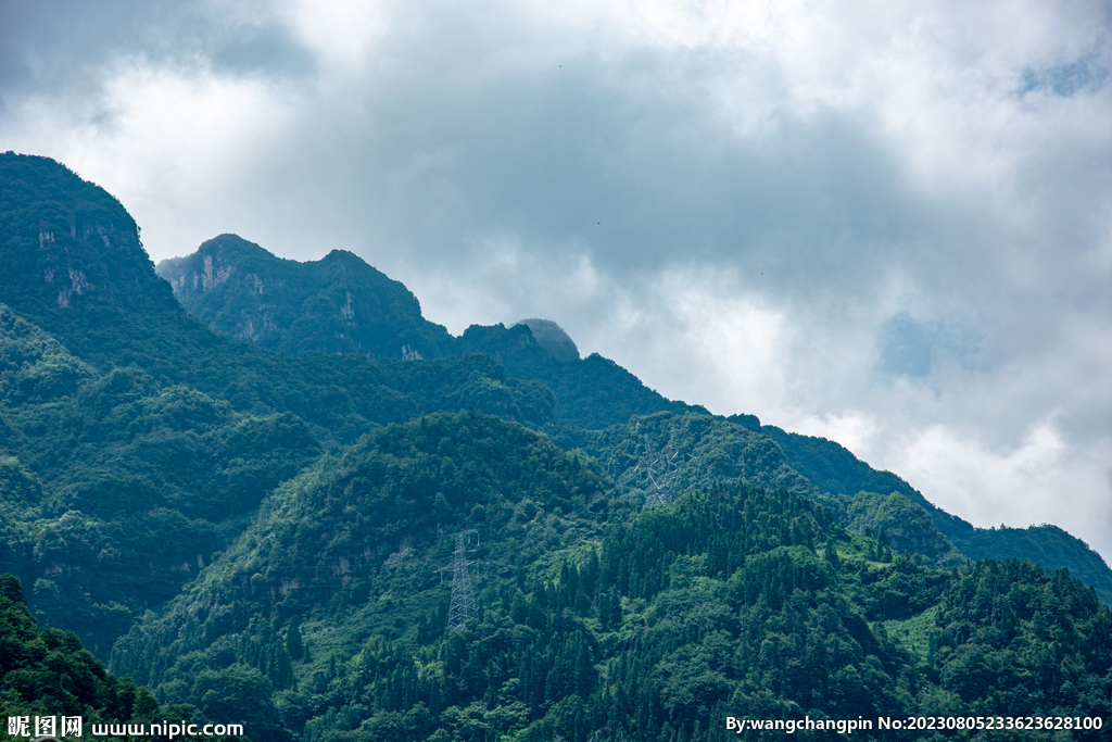 青山