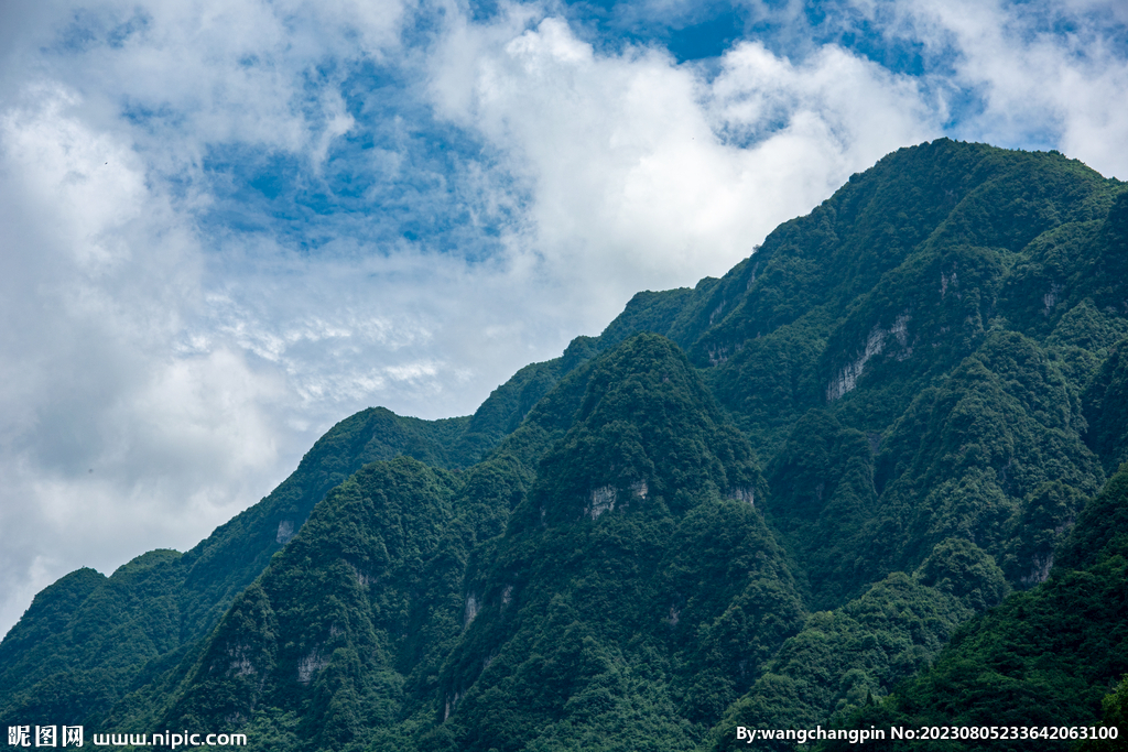 青山