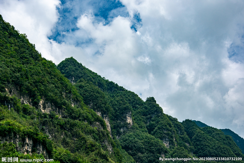 青山