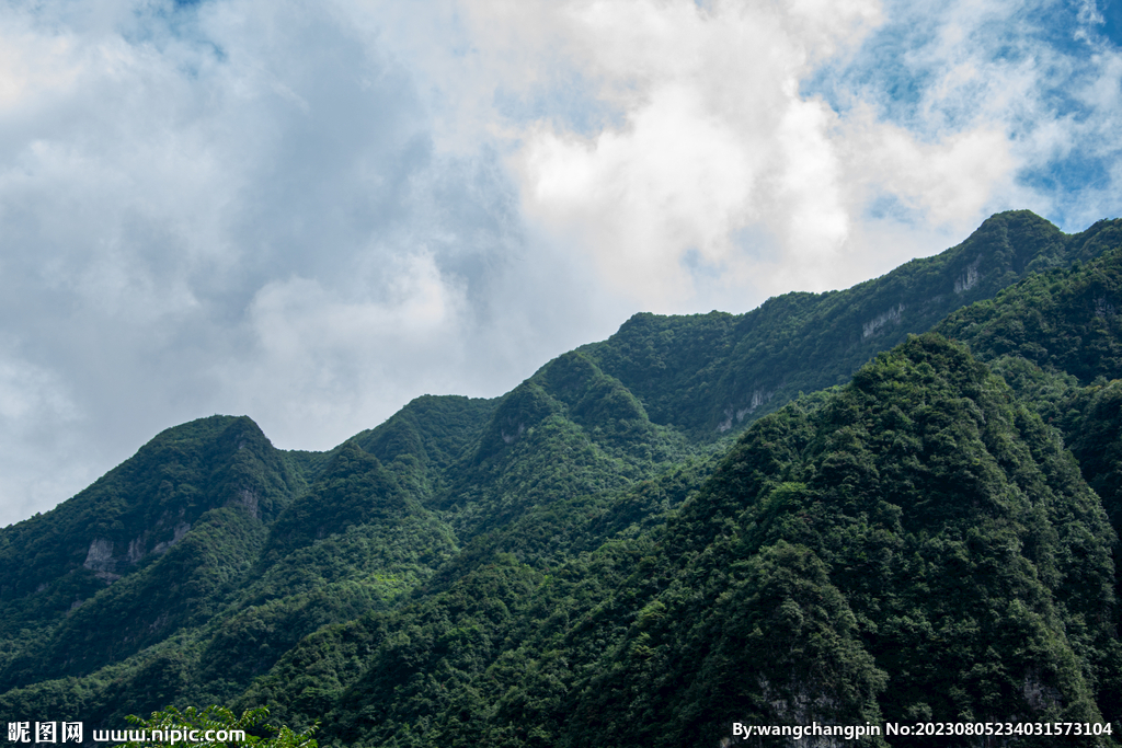 青山