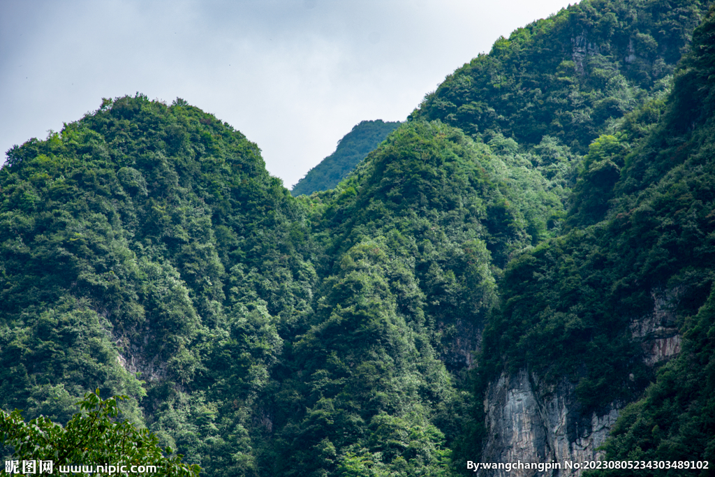 青山