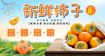 柿子展板