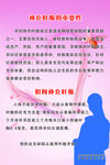 叶酸的重要性