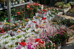 花店