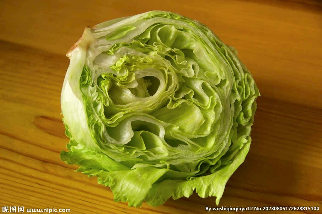 生菜