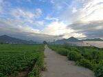 乡村早晨