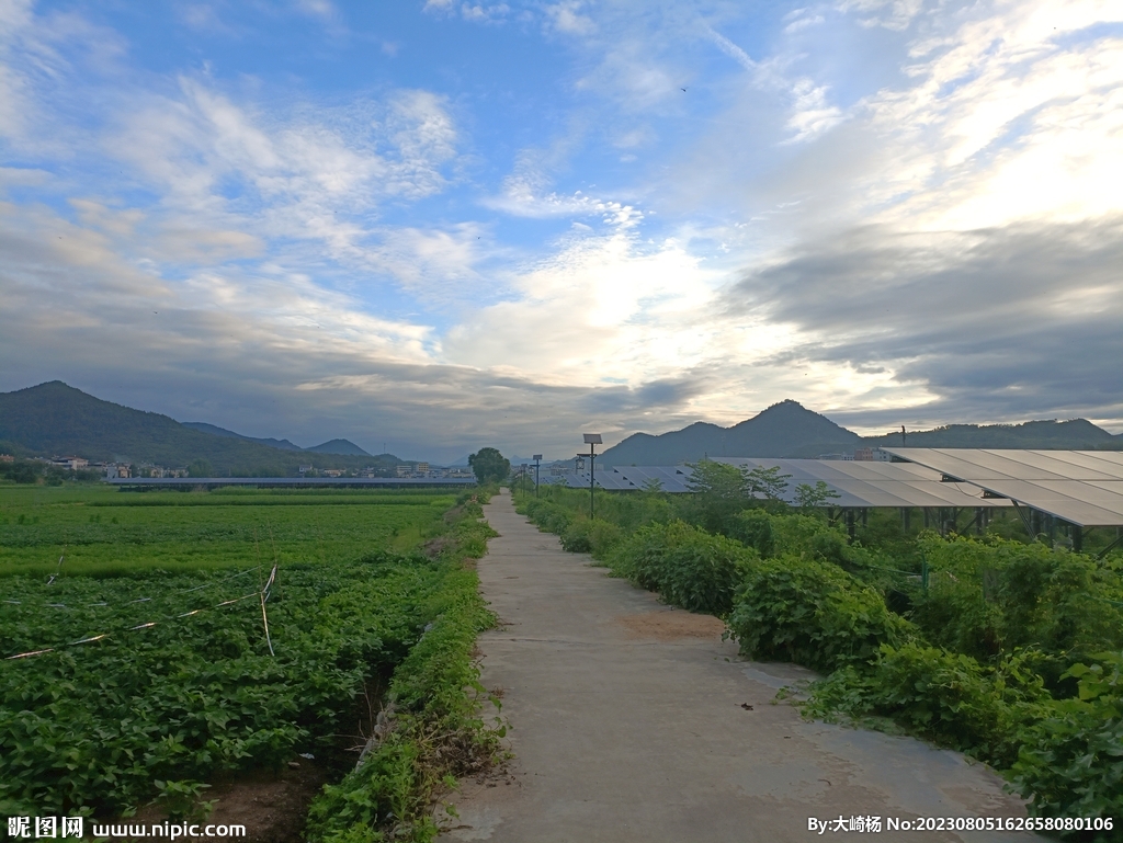 乡村早晨