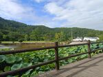 夏季乡村