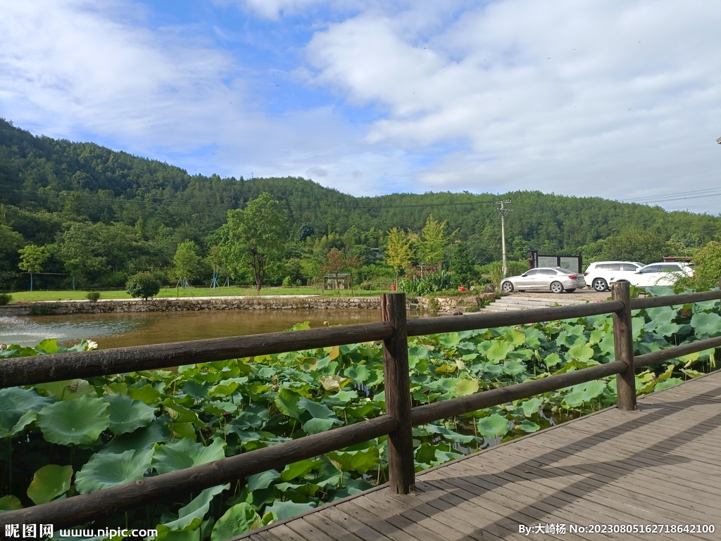 夏季乡村