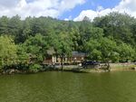 水域碧树