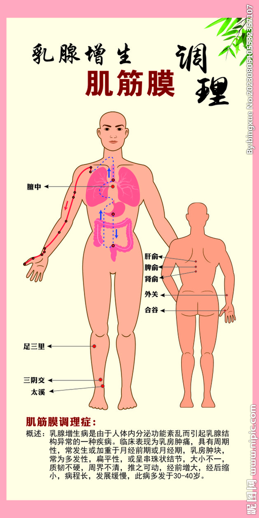 乳腺增生肌筋膜
