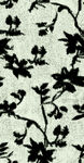 抽象花