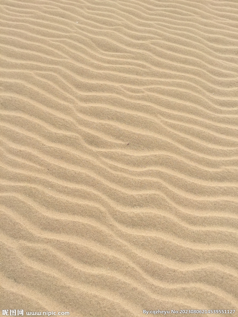 沙漠