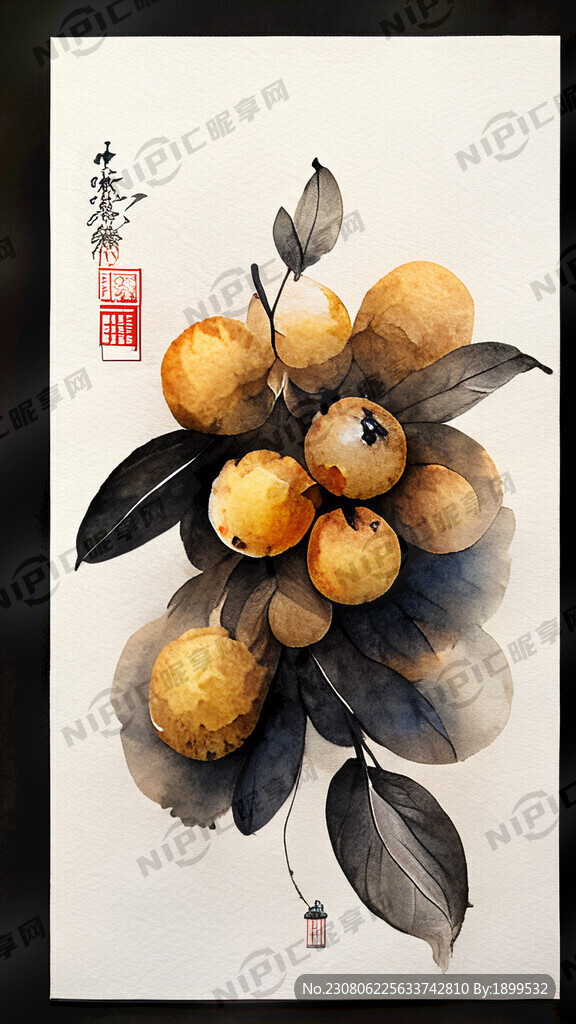 水果桂圆