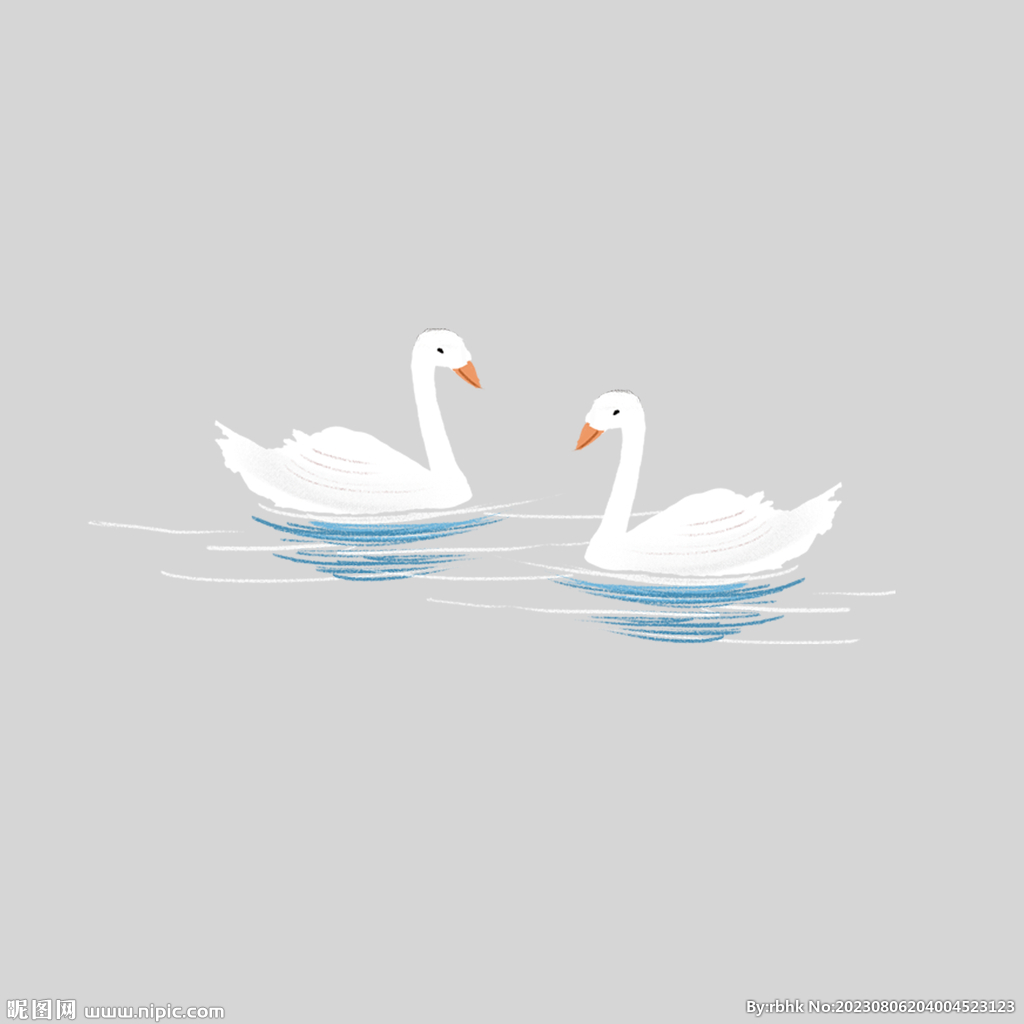 天鹅插画