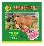 黄牛肉批发