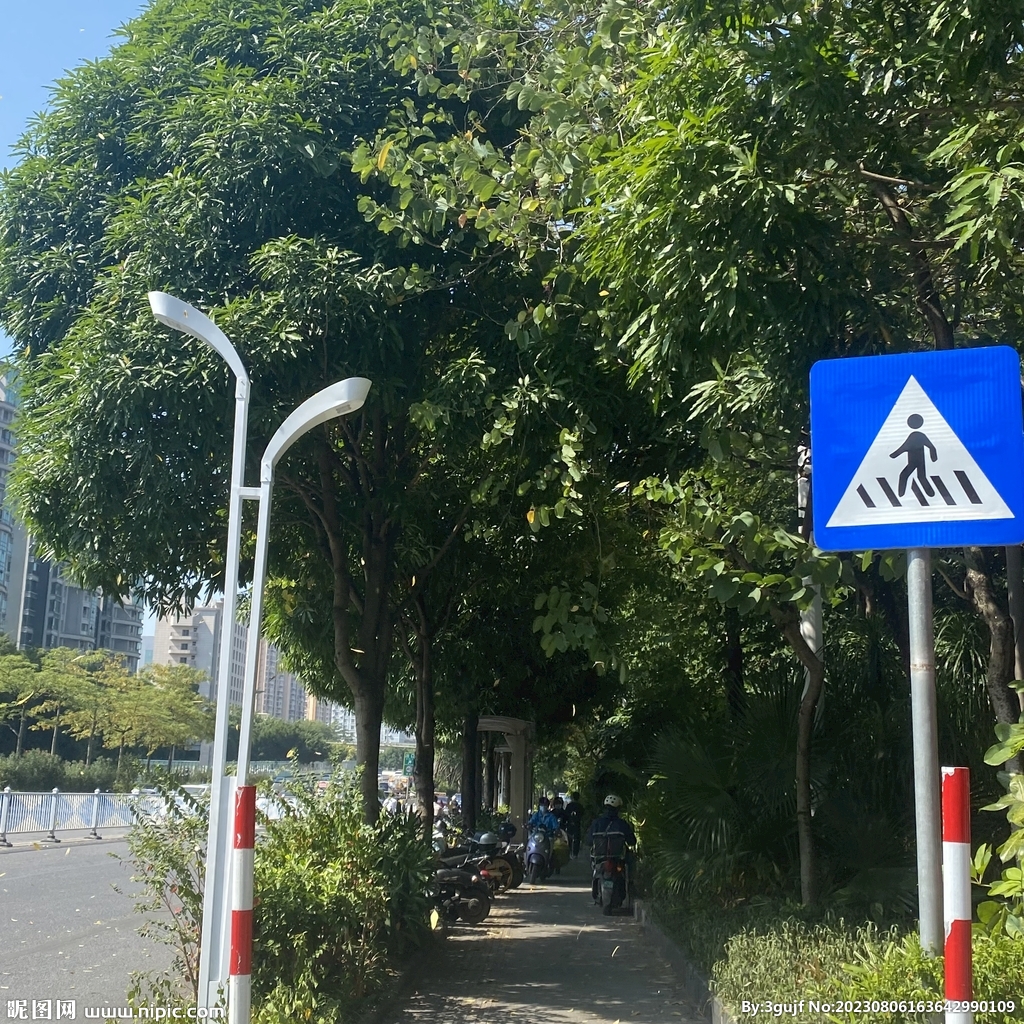 树木
