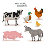 动物农场插画图片