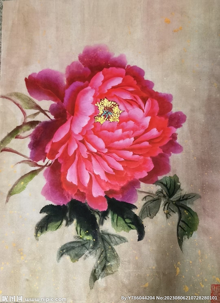 牡丹花   手绘花   国画 