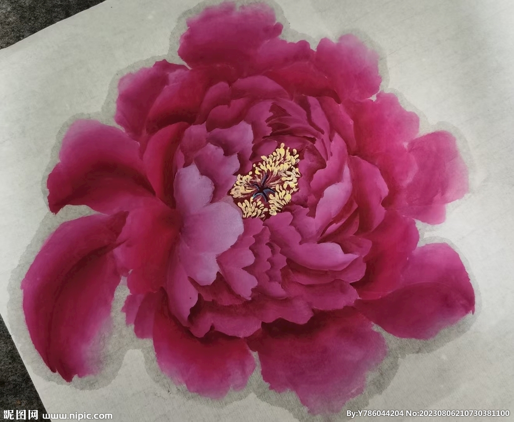 牡丹花   手绘花   国画 