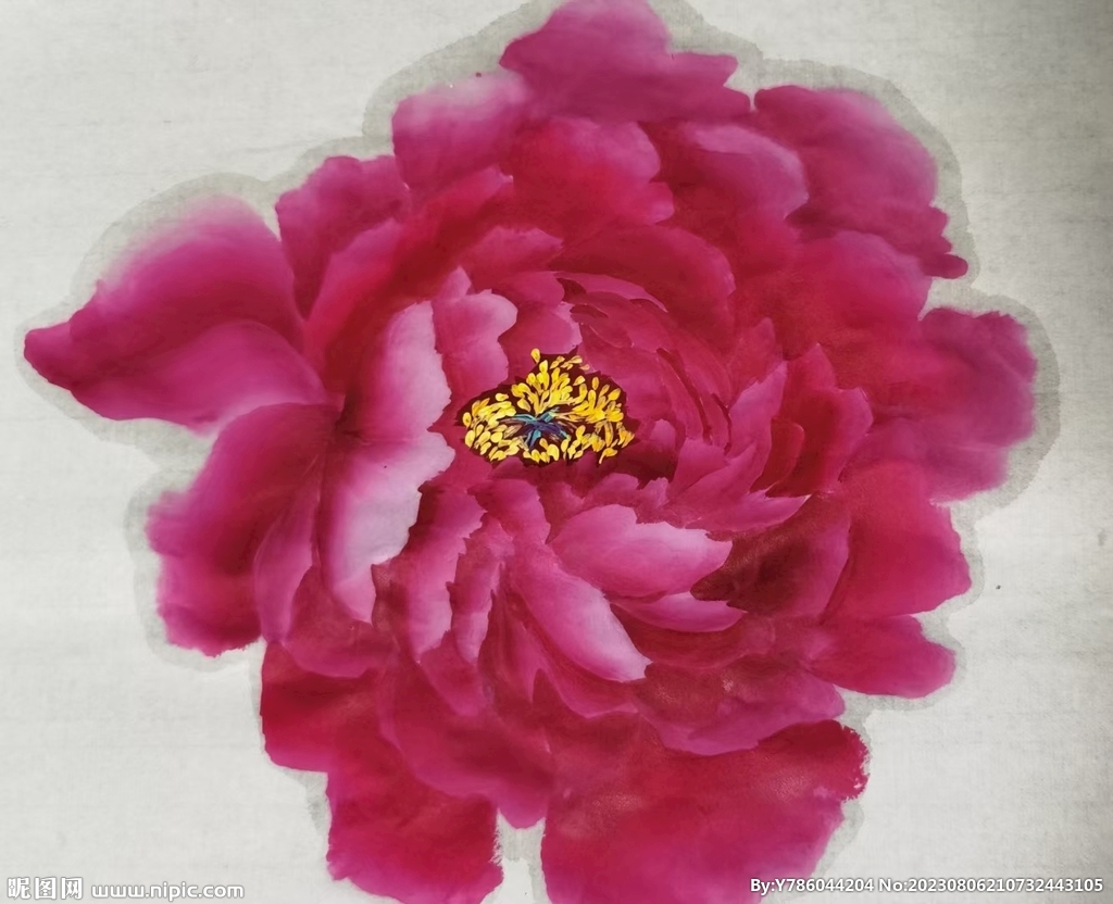 牡丹花   手绘花   国画 