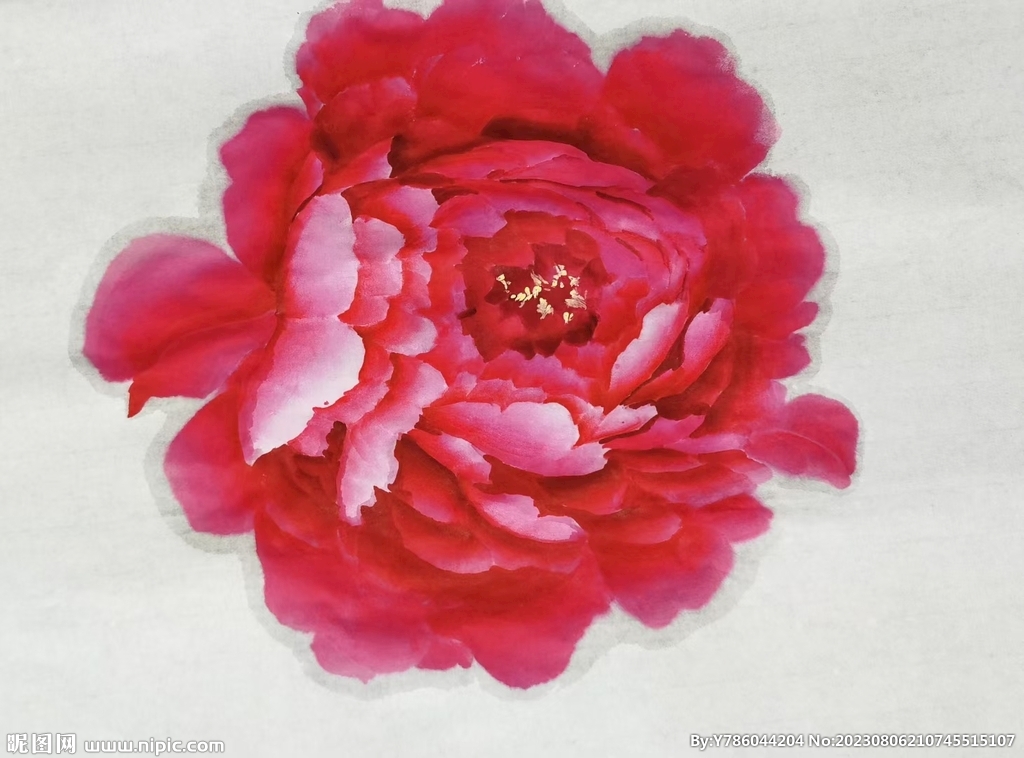 牡丹花   手绘花   国画 