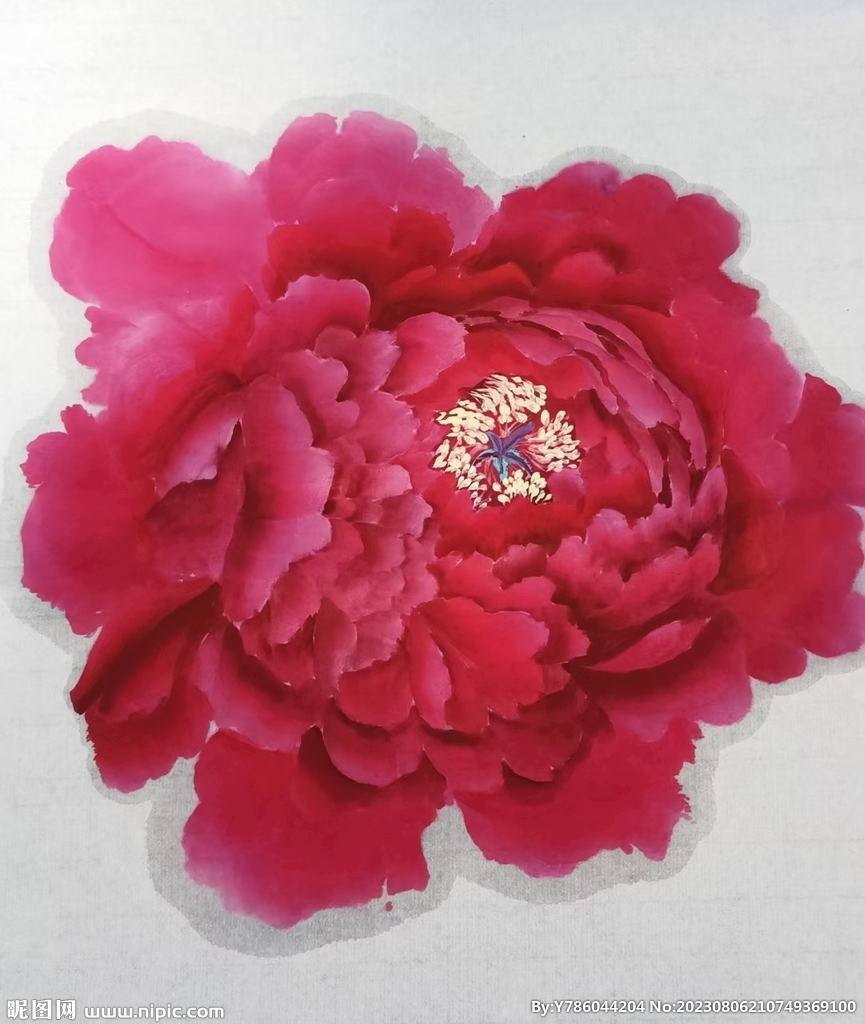 牡丹花   手绘花   国画 